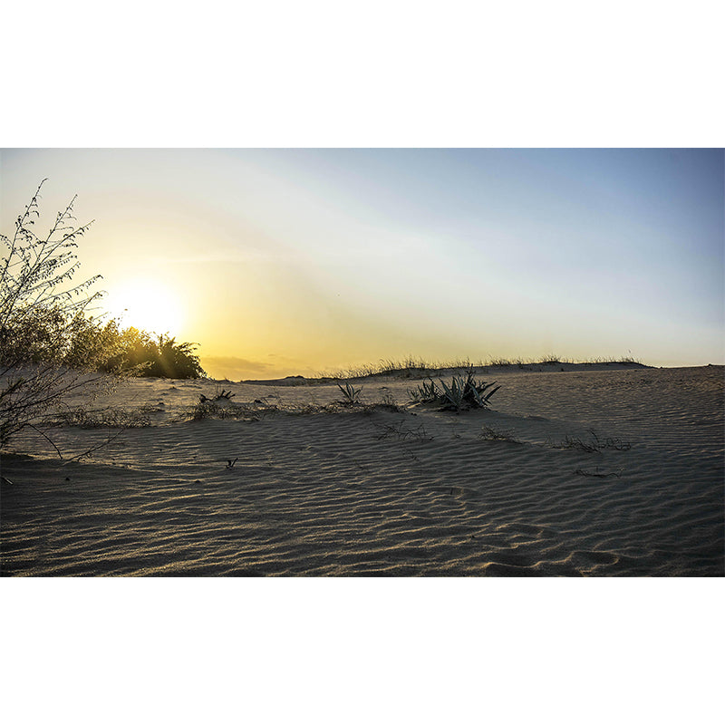 Desert Landscape Wall Mural Wallpaper Modern Mildew Resistant for Bedroom