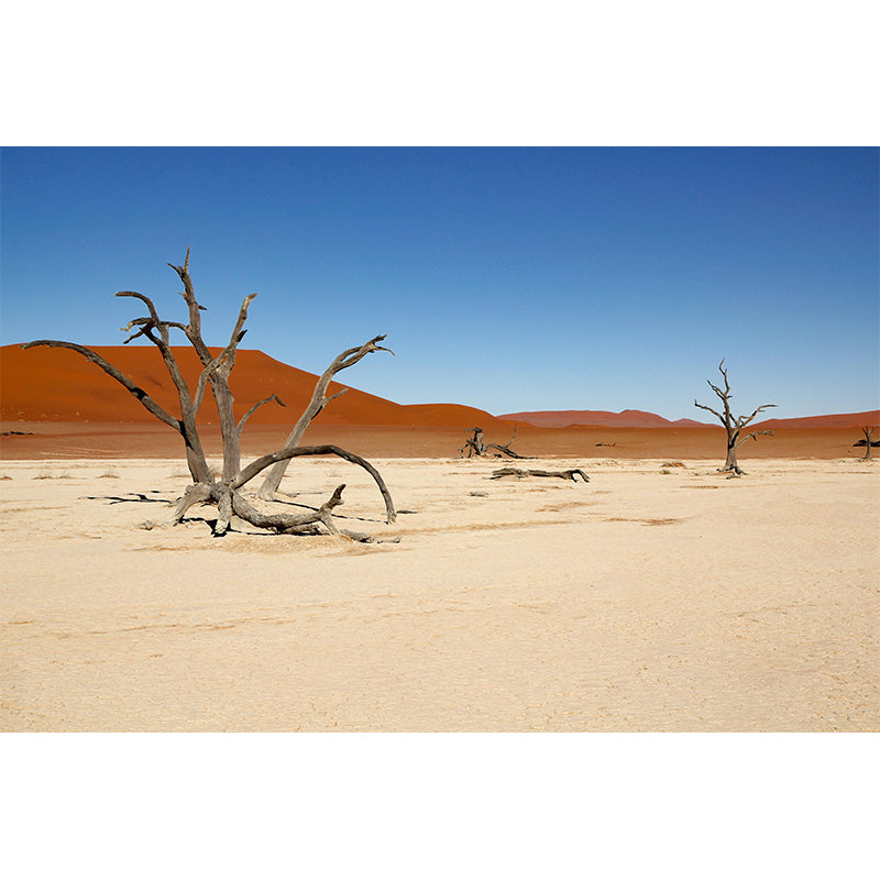 Desert Landscape Mural Wallpaper Modern Style Mildew Resistant for Decoration