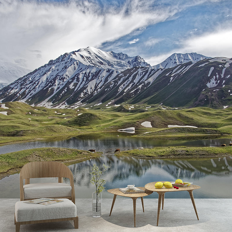 Mountain View Wall Mural Wallpaper Modern Mildew Resistant Wall Covering