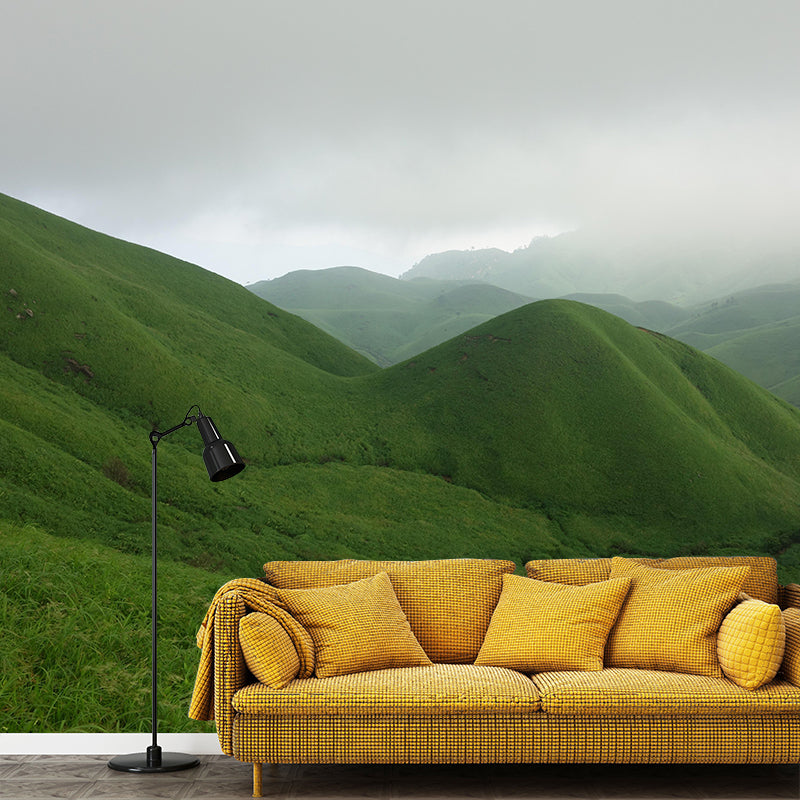 Mountain View Wall Mural Wallpaper Modern Style Mildew Resistant for Dining Room