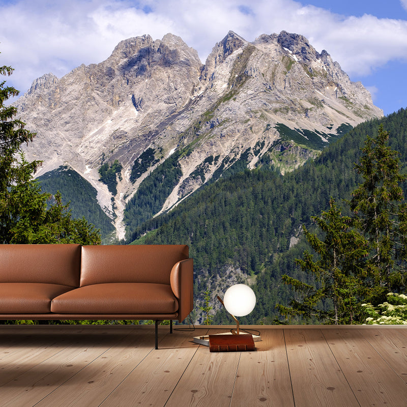 Mountain Wall Mural Wallpaper Modern Mildew Resistant for Decoration