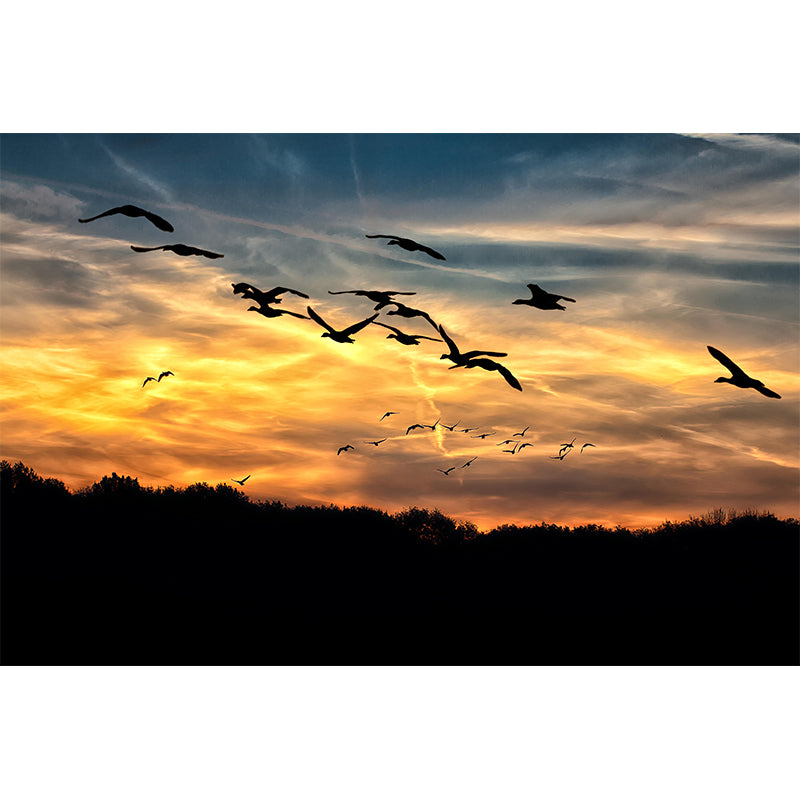 Sky View Wall Mural Wallpaper Modern Style Mildew Resistant for Bedroom