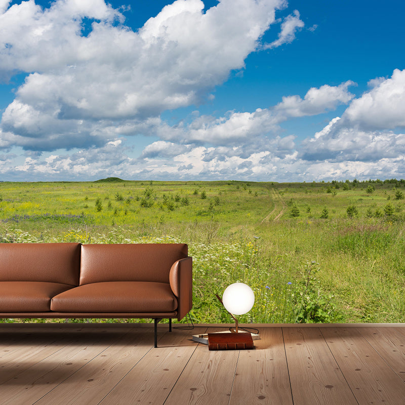 Sky View Wall Mural Wallpaper Modern Style Mildew Resistant for Bedroom