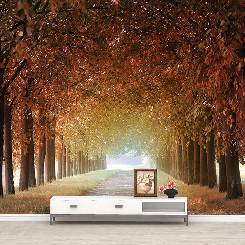 Eco-friendly Photography Space Extension Mural for Wall Decor