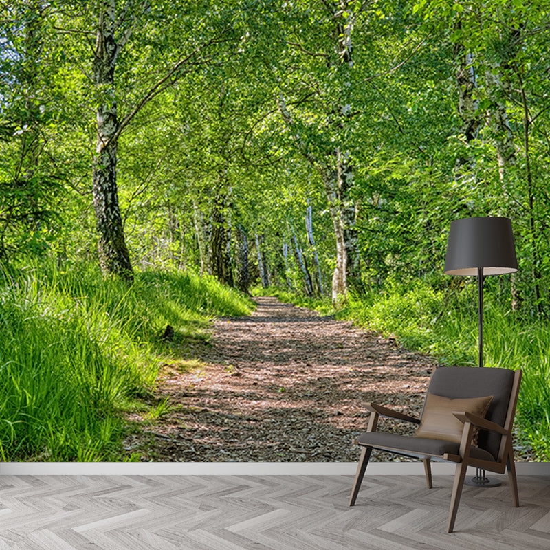 Eco-friendly Photography Space Extension Mural for Wall Decor