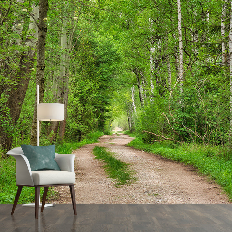 Customized Photography Space Extension Mural Eco-friendly for Home Decor