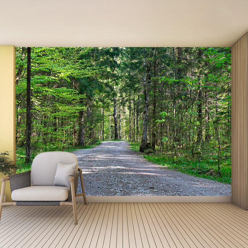 Photography Space Extension Mural Eco-friendly Wallpaper for Room