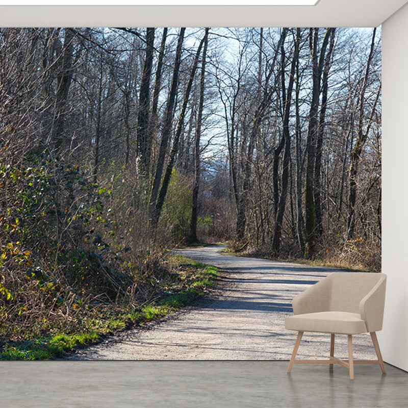 Photography Space Extension Mural Eco-friendly Wallpaper for Room