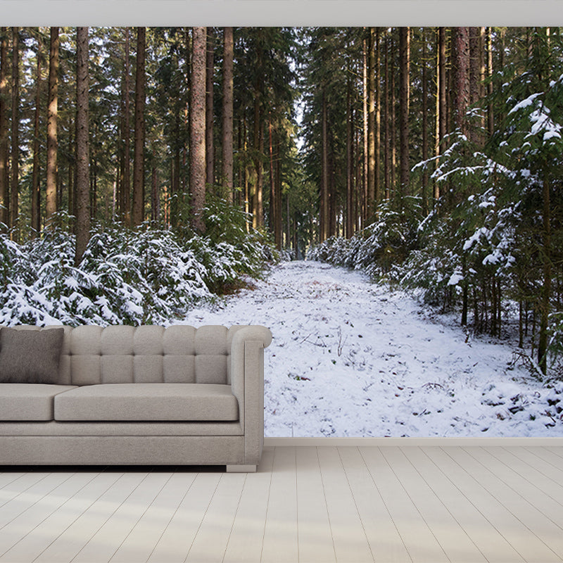 Customized Photography Space Extension Mural Eco-friendly Wallpaper for Wall Decor