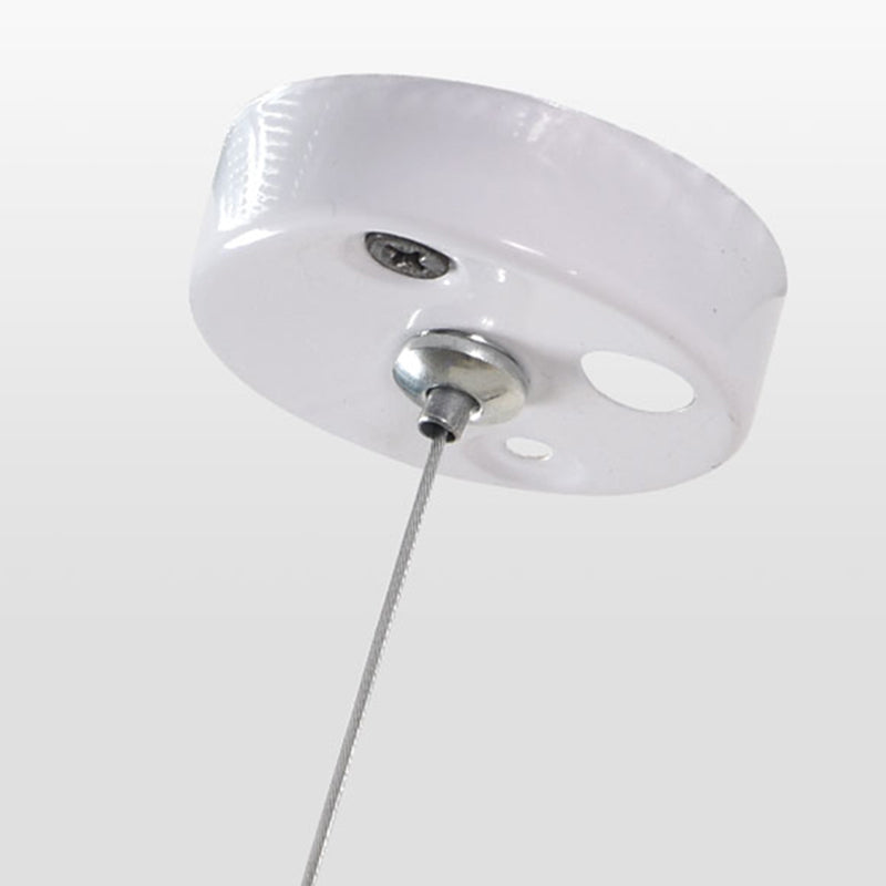 Eenmalige lichte eigentijdse hangende lampen metalen hanglamp voor woonkamer foyer