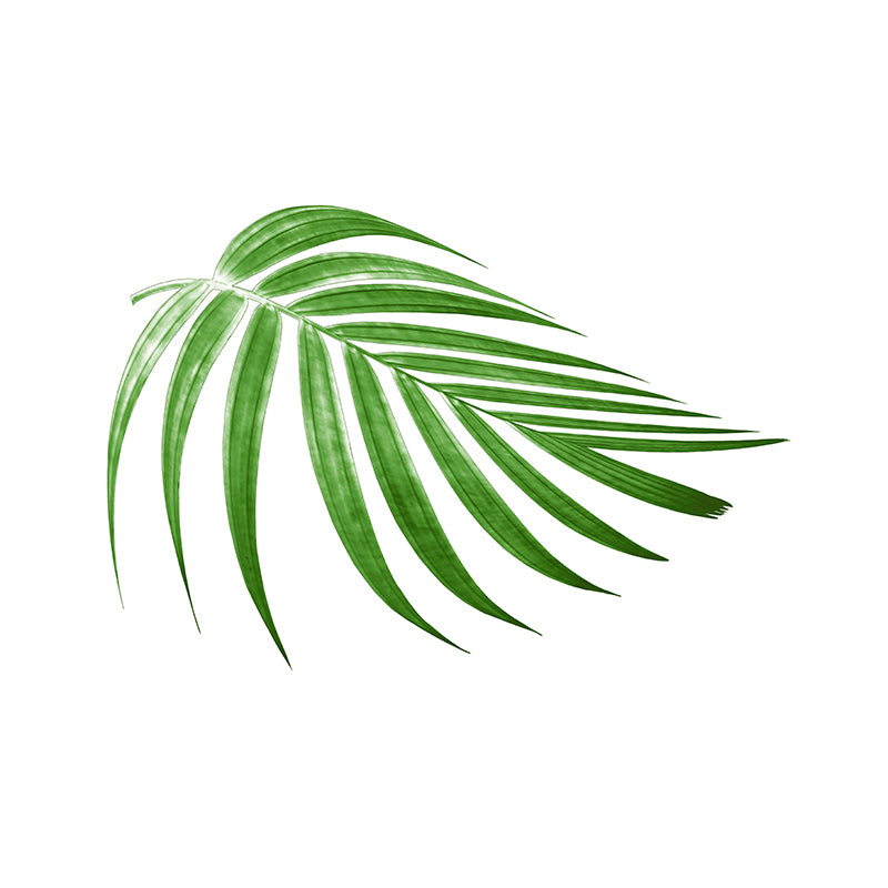 Mildew Resistant Tropical Plant Mural Decorative Wall Art for Decoration