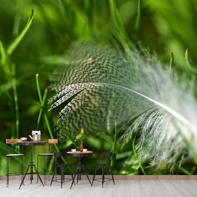 Waterproofing Bird Feather Mural Wallpaper Decorative Wall Art for Home