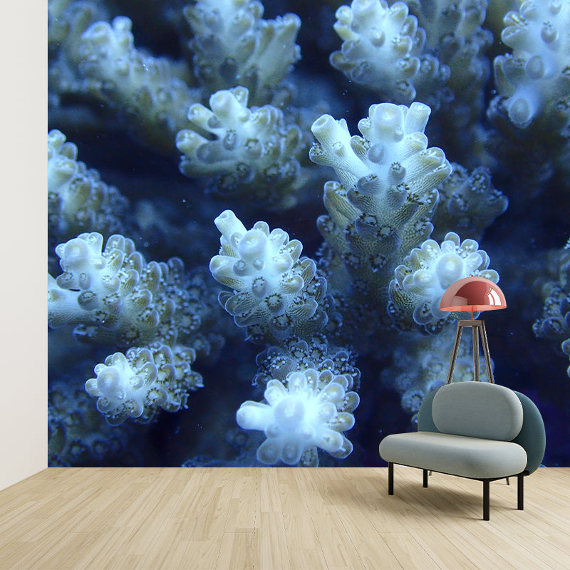 Underwater Photos Contemporary Wall Art Waterproofing Mural Wallpaper for Dining Room