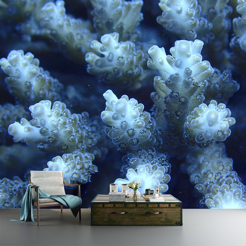 Underwater Photos Contemporary Wall Art Waterproofing Mural Wallpaper for Dining Room