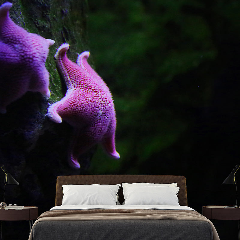 Underwater Photos Contemporary Wall Art Waterproofing Mural Wallpaper for Dining Room