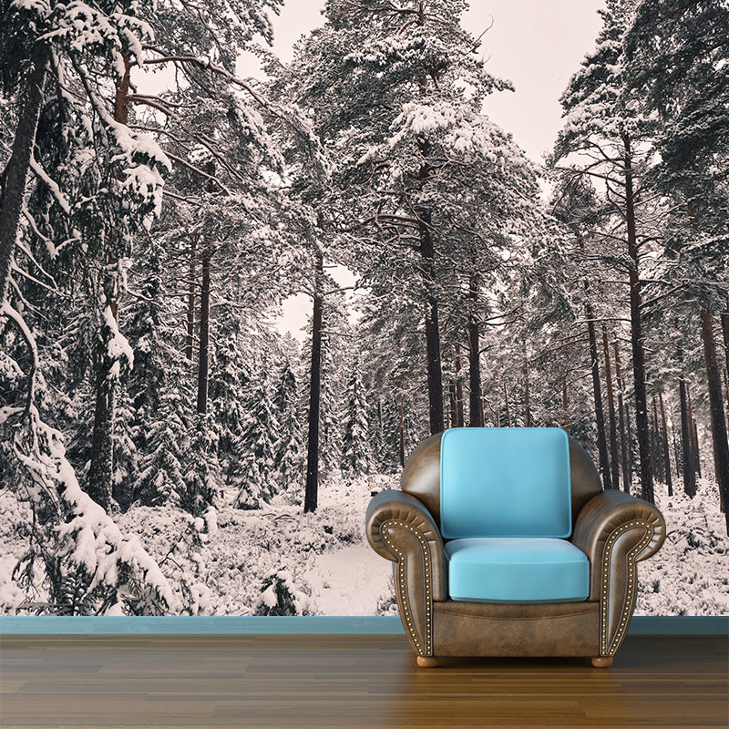 Pine Forest View Murals for Sleeping Room Home Decor, Moisture Resistant
