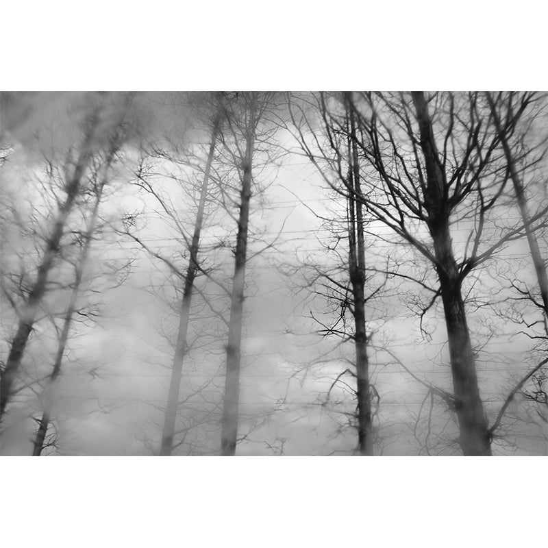 Pine Forest Wall Murals Moisture Resistant Wall Decor for Sleeping Room