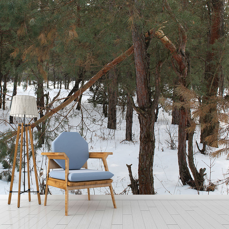 Pine Forest Landscape Wall Murals Moisture Resistant Wall Decor for Sleeping Room