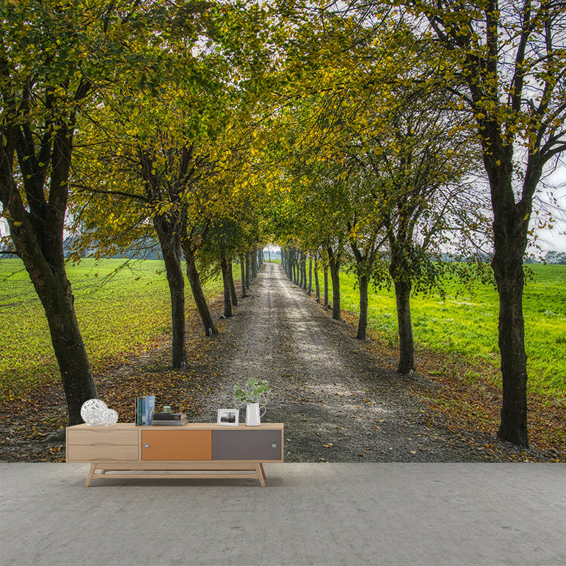 Space Extension Bedroom Mural Wallpaper Photography Mildew Resistant