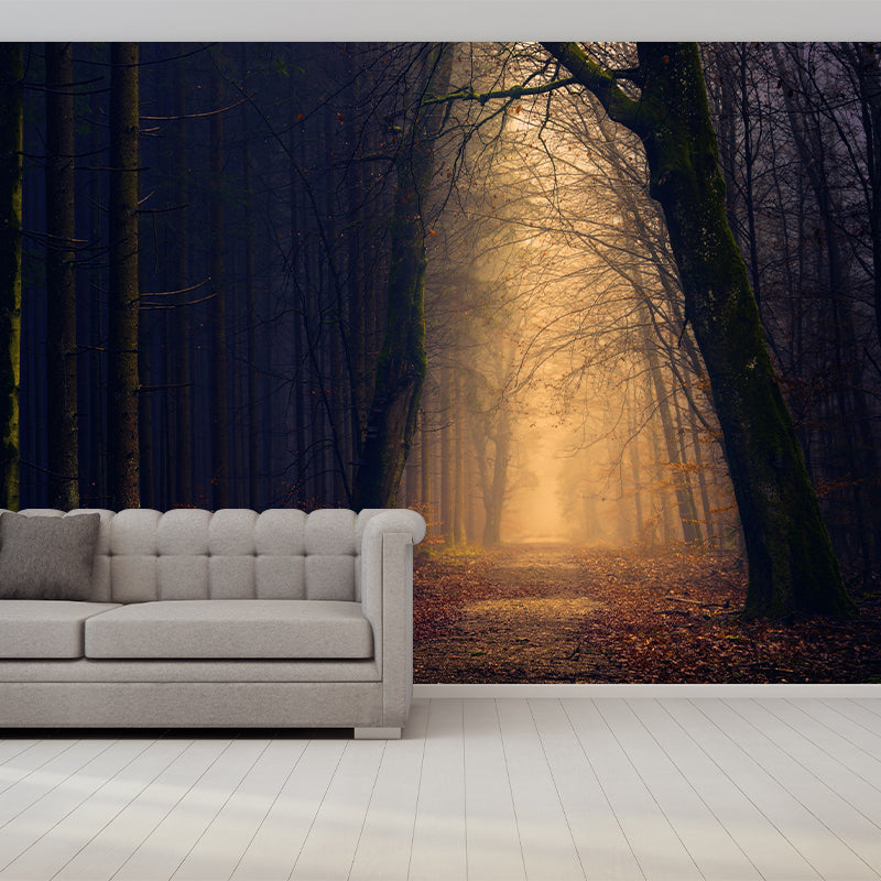 Space Extension Bedroom Mural Wallpaper Photography Mildew Resistant