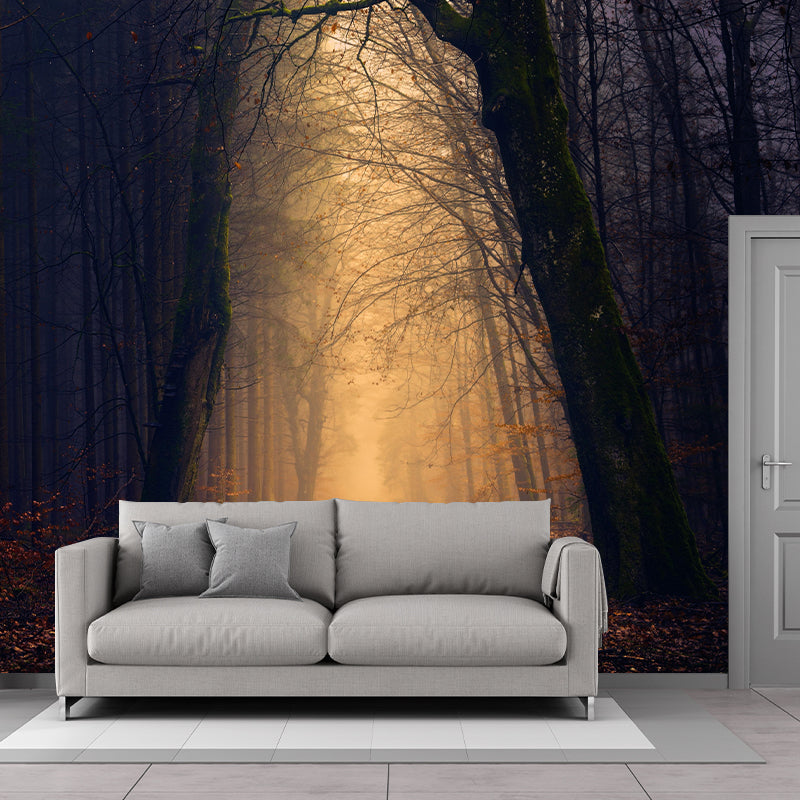 Space Extension Bedroom Mural Wallpaper Photography Mildew Resistant