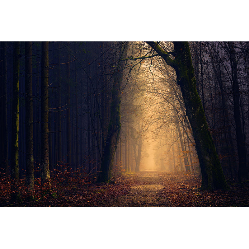 Space Extension Bedroom Mural Wallpaper Photography Mildew Resistant