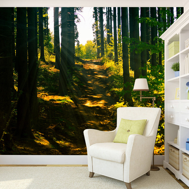 Space Extension Customized Mural Wallpaper Photography Mildew Resistant for Home