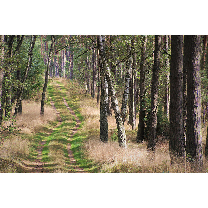 Customized Space Extension Wall Mural Wallpaper Photography Mildew Resistant for Room