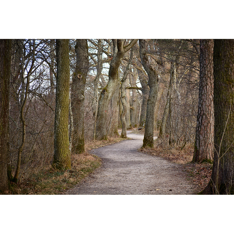 Space Extension Mural Wallpaper Photography Style Mildew Resistant for Room