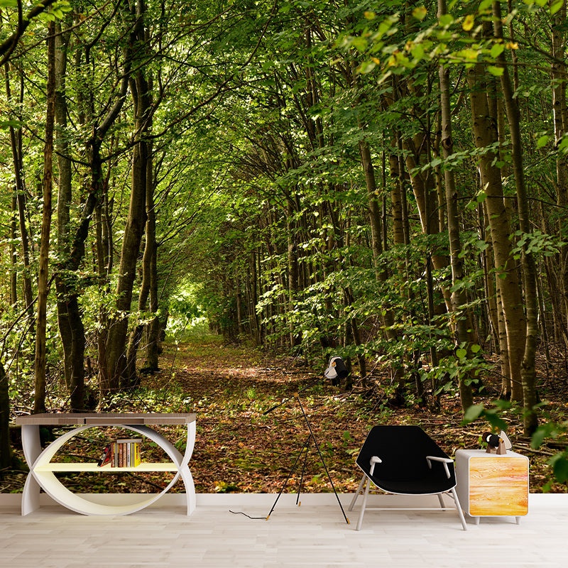 Space Extension Mural Wallpaper Photography Style Mildew Resistant for Room