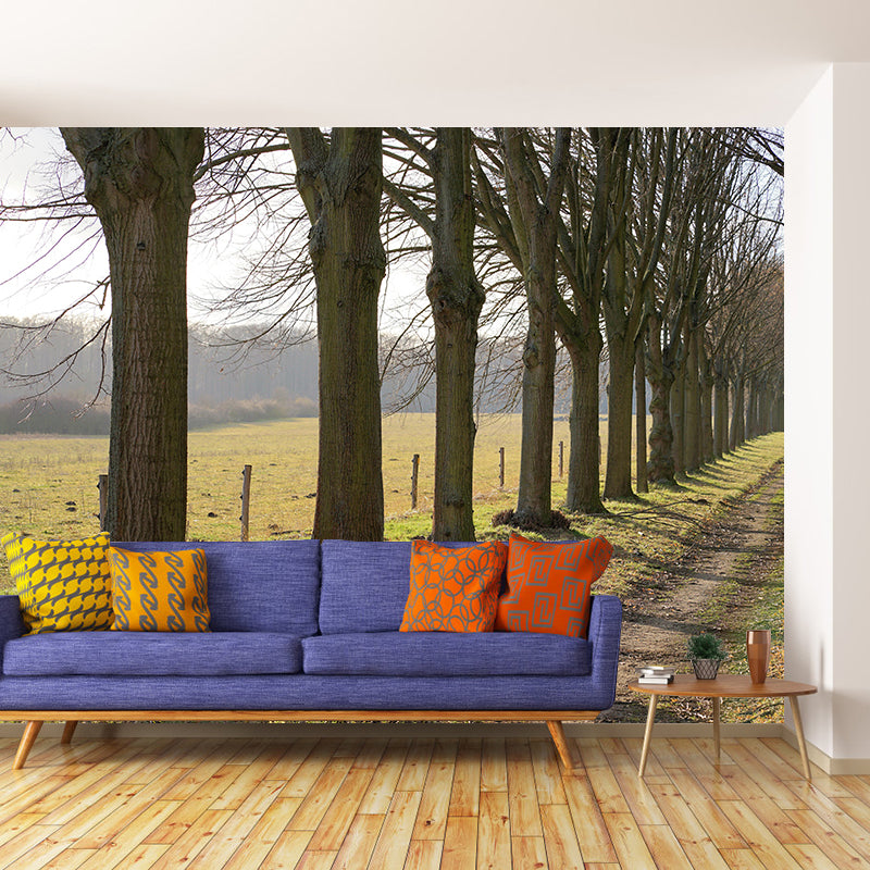 Space Extension Mural Wallpaper Photography Mildew Resistant for Living Room