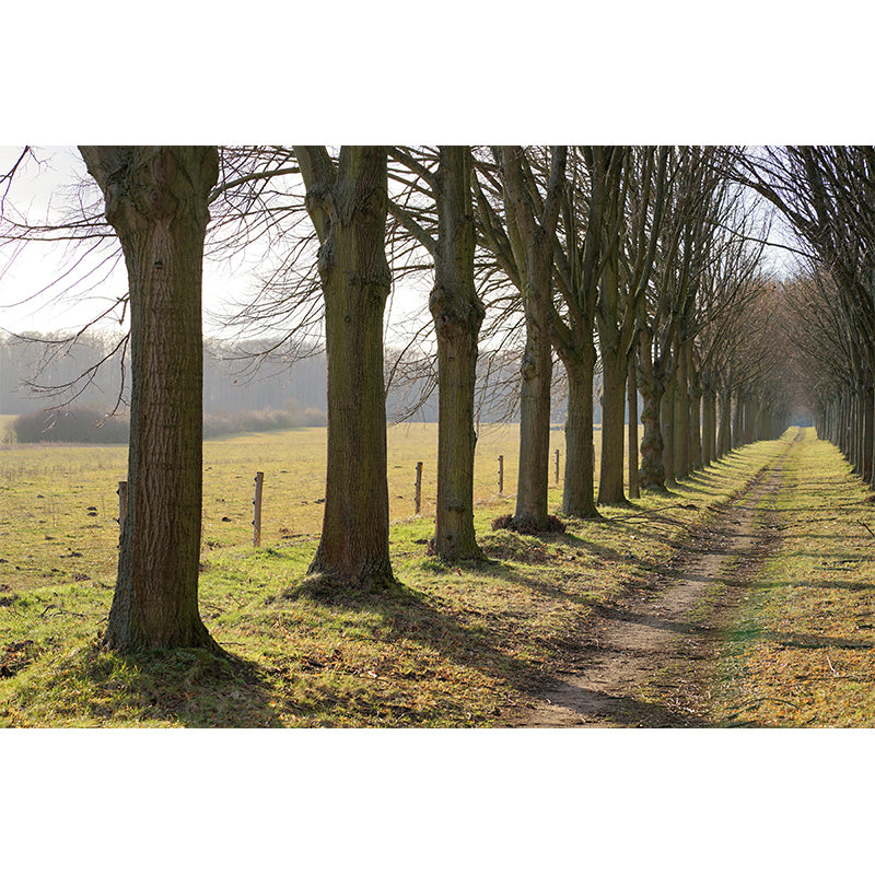 Space Extension Mural Wallpaper Photography Mildew Resistant for Living Room