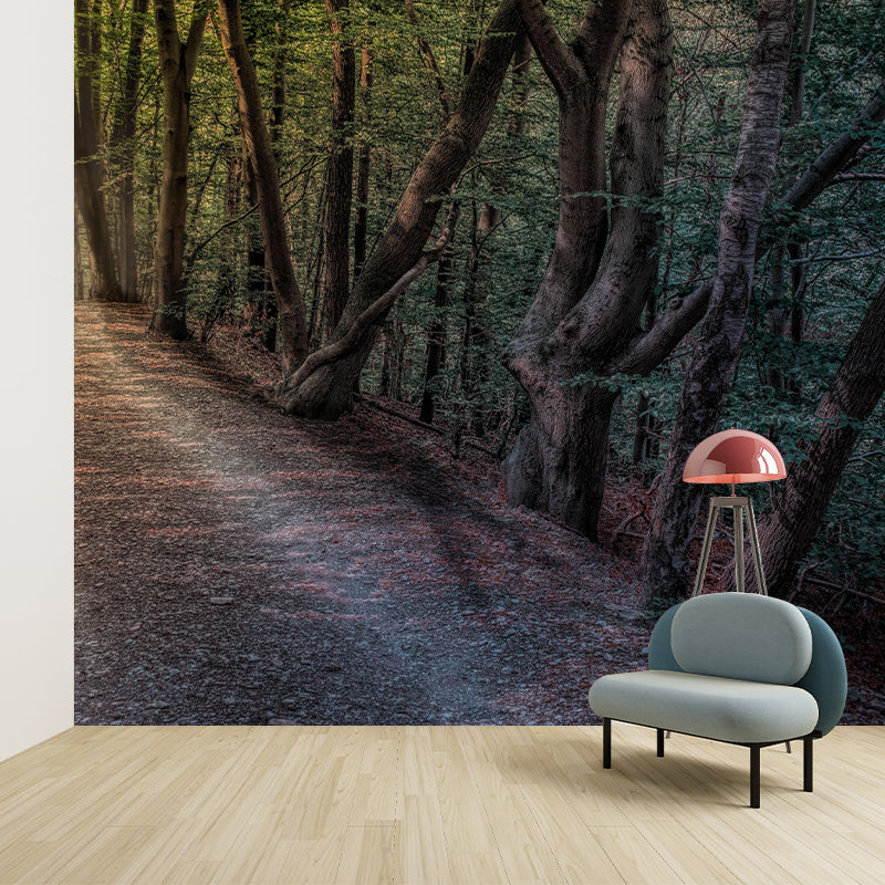 Space Extension Wallpaper Mural Photography Mildew Resistant for Living Room