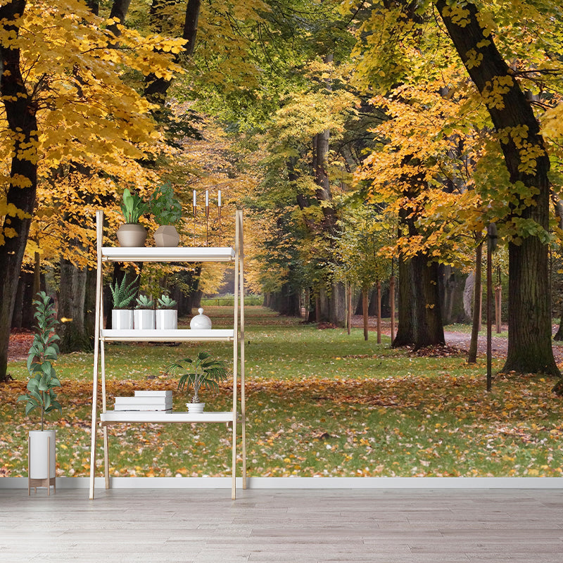 Space Extension Wallpaper Mural Photography Mildew Resistant for Living Room