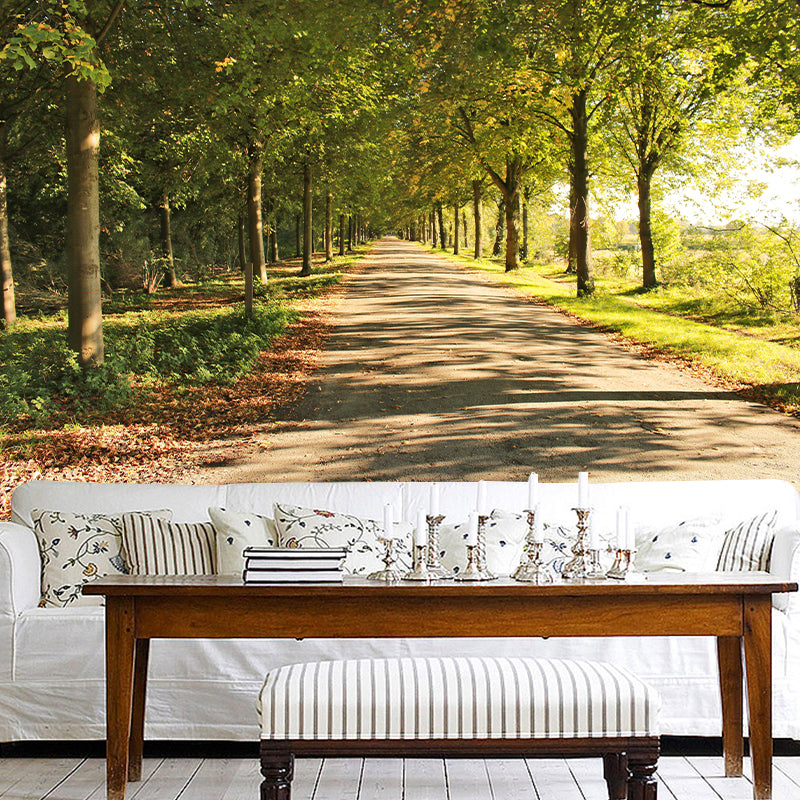 Space Extension Wall Mural Wallpaper Photography Style Mildew Resistant for Living Room