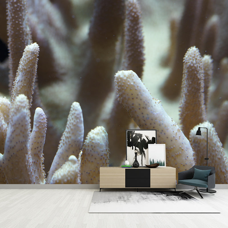 Tropical Beach Seabed Mural Wallpaper Mildew Resistant for Bedroom