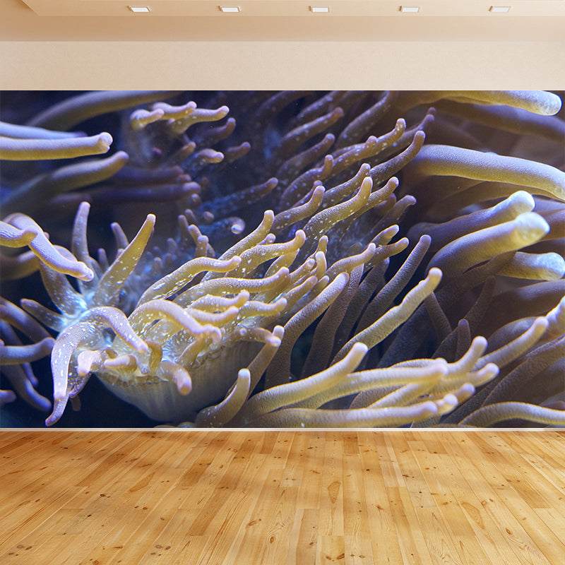 Seabed Mural Wallpaper Tropical Beach Mildew Resistant for Living Room