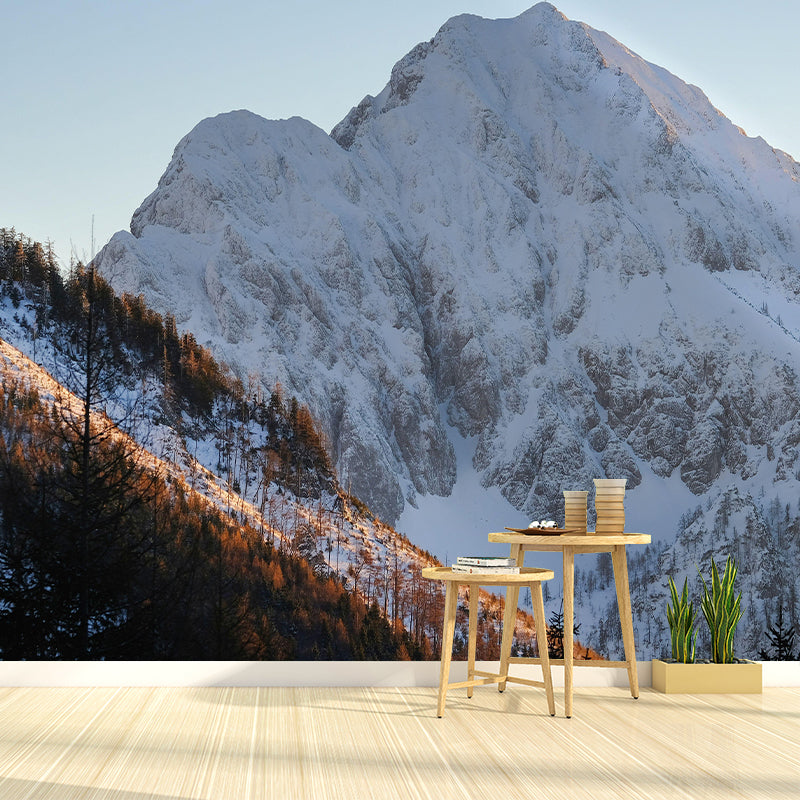 Mountain Wall Mural Wallpaper Modern Style Mildew Resistant Bedrom Mural