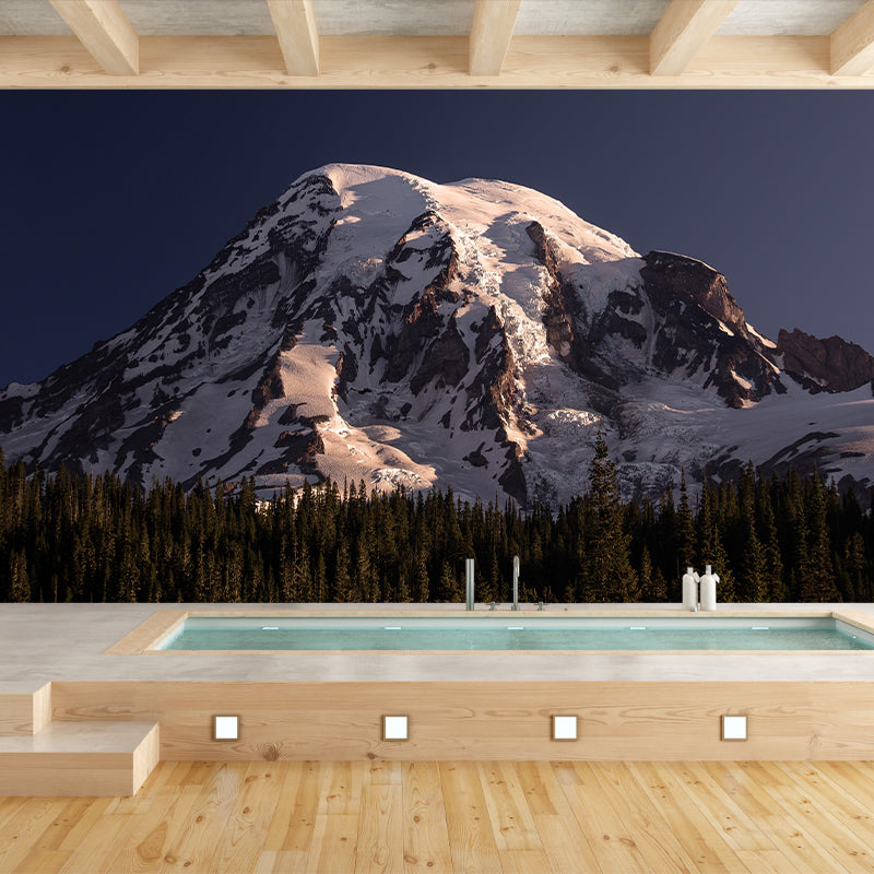 Mountain Wall Mural Wallpaper Modern Style Mildew Resistant Bedrom Mural