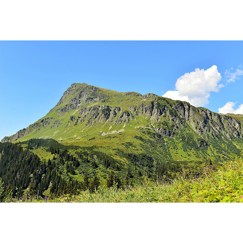 Huge Mountain Wall Mural Wallpaper Modern Style Mildew Resistant for Bedroom