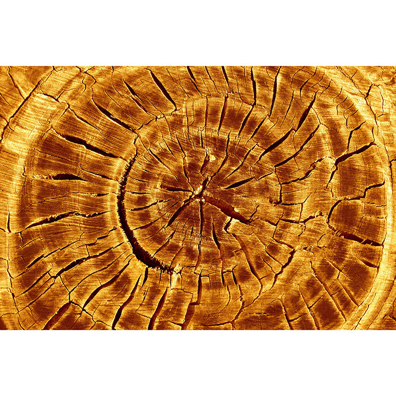 Wood Texture Mural Industrial Mildew Resistant for Decoration