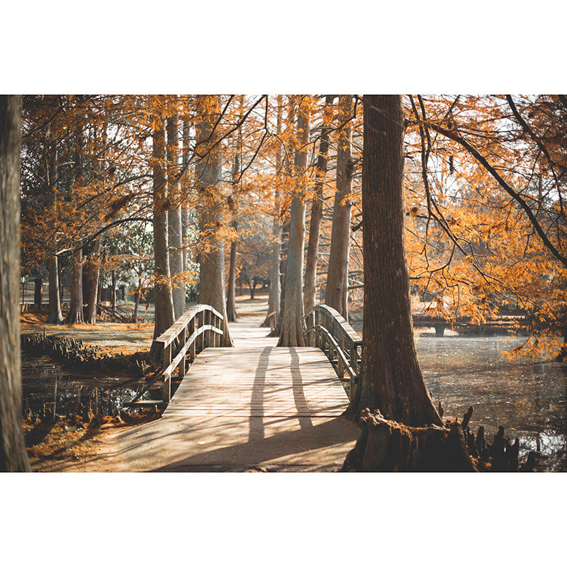 Space Extension Photography Mural Modern Style Mildew Resistant Wall Covering