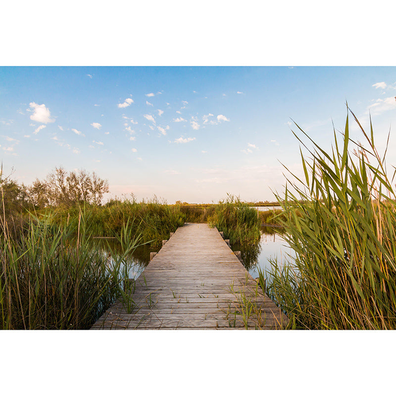 Photography Space Extension Mural Modern Style Mildew Resistant for Living Room