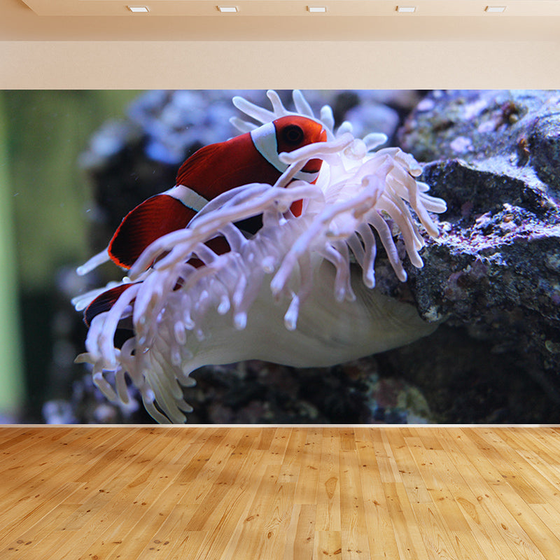 Sea Creature Wall Mural Modern Style Mildew Resistant for Living Room