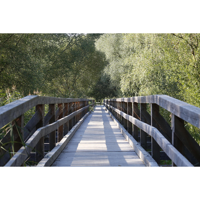 Environment Friendly Mural Industrial Style Space Extension Mural for Home Decor