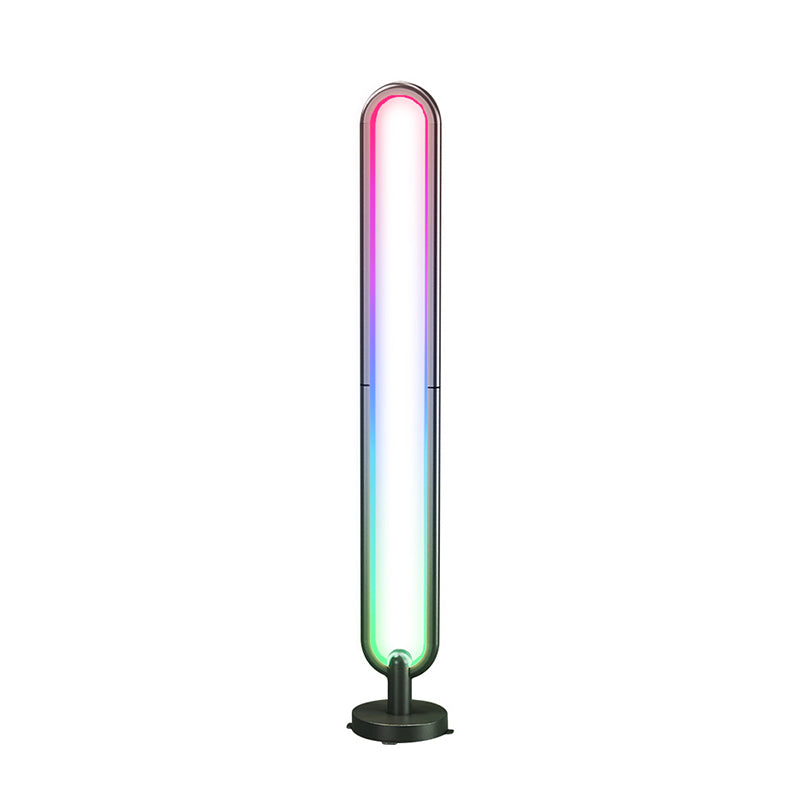 Oval Shaped Bluetooth Floor Light Modern Metal Bedroom RGB Standing Light