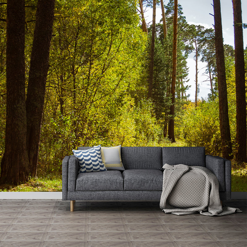Forest Wall Murals for Home Decoration Stain Resistant, Personalised Size