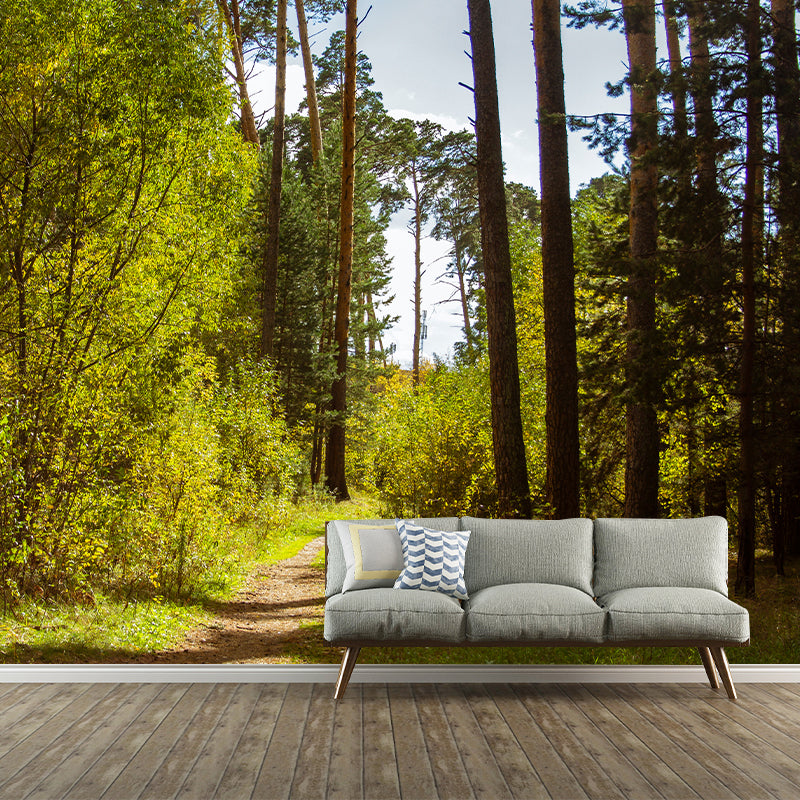 Forest Wall Murals for Home Decoration Stain Resistant, Personalised Size