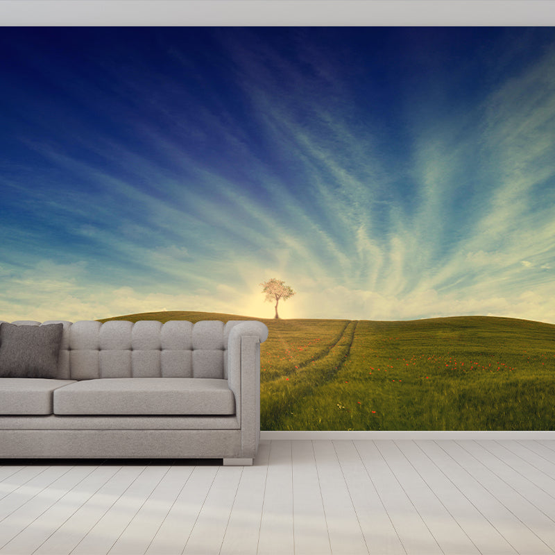 Contemporary Photography Style Sky Mural Wallpaper Mildew Resistant Wall Covering