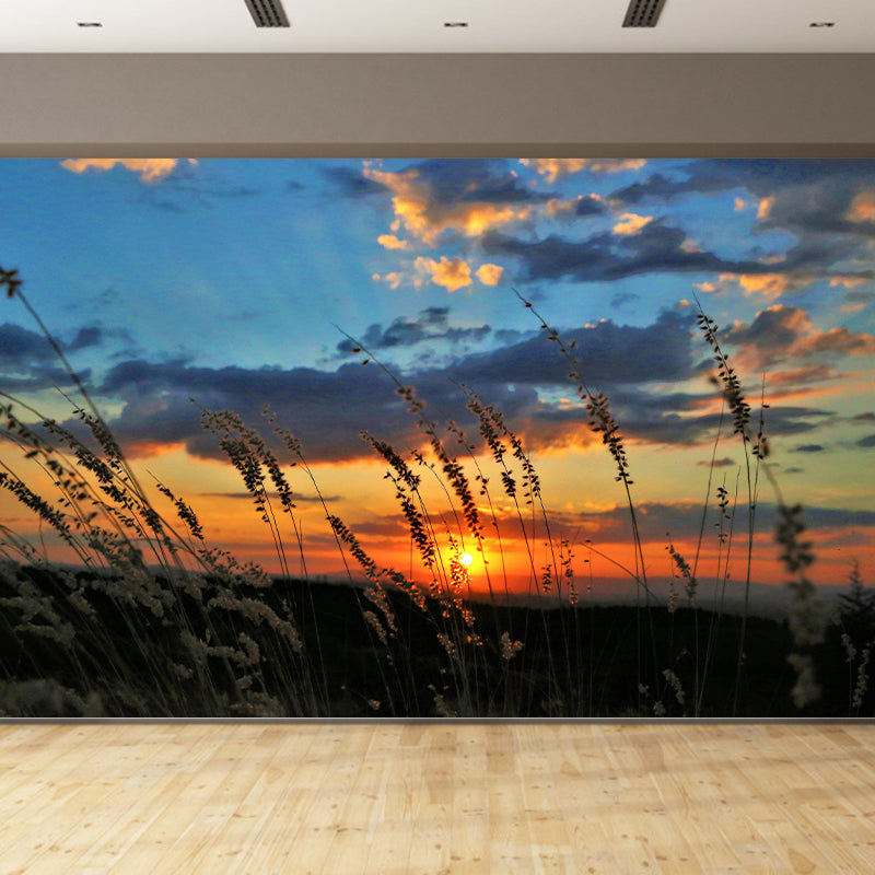 Cloud Sky Photography Style Sky Mural Wallpaper Mildew Resistant for Wall Decor